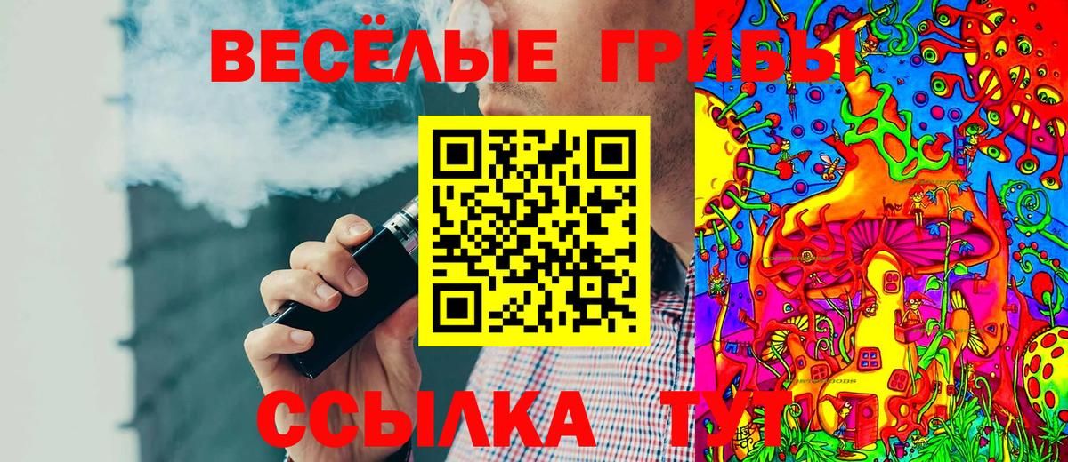 Псилоцибиновые грибы мухоморы  купить наркотики сайты  Ржев  Вход с VPN 
