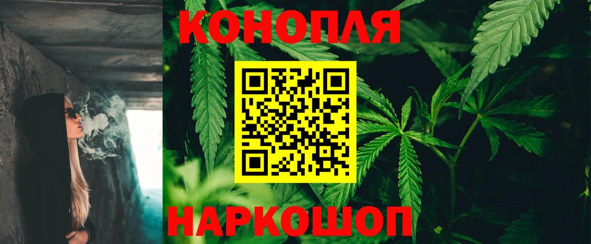 МАРИХУАНА сатива Ржев